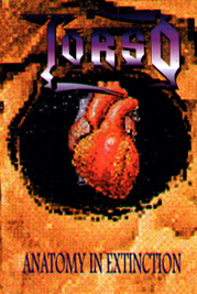 torsocas